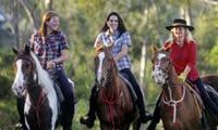 Sunshine Coast Hire Cars, Things to do: The Mooloolah Valley Riding Centre