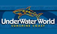 Sunshine Coast Hire Cars, things to do: Underwater World